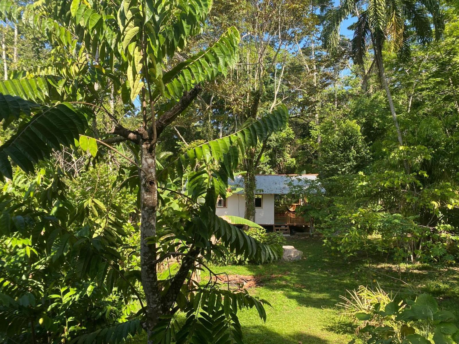 Villa Caribbean Retreats Cocles Esterno foto